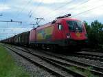 1116 060-3 der ROeEE-GySEV zieht bei Bruck/L.um die Mittagszeit einen Gterzug Richtung Wien;100809
