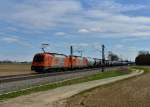 1216 902 + 1216 901 mit einem Kesselzug am 14.03.2013 bei Langenisarhofen.