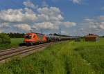 1216 901 mit einem Kesselzug am 28.05.2013 bei Batzhausen.