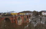 DGS 59871 mit 193 218 Beethoven mit Containerzug von Hamburg nach Hof/Wiesau, passiert hier die Elstertalbrücke/Jocketa.
