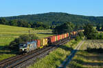 Im warmen Abendlicht rauschte der  Beethoven-Vectron  193 218 der SETG mit dem Containerzug DGS 52657 von Regensburg nach Bremerhaven Speckenbüttel am 19. Juni 2025 durch die Vorderrhön bei Hünfeld. 
