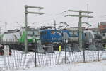SETG 193 814 und weitere Loks am 17.02.2026 in der HPA Lokservicestelle im Bahnhofsteil Hamburg Alte S�derelbe.