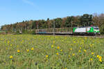 7193 122 Steg Eule mit einem reinen Holzzug am 25.9.26 bei Eglharting.