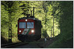 Die Gleichenberger Bahn wird offiziell auch als Dschungelexpress bezeichnet. Hier, kurz vor der Haltestelle Oedt Siedlung macht sie diesem Namen alle Ehre. (22.4.2019)