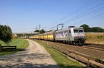 TX Logistik Austria 185 540  EC Huskies Kassel  mit einem ARS-Altmann-Autotransportzug in Richtung Hannover durch Langwedel am 26.08.16.