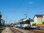 Wiener Lokalbahnen     TW 125 + 403 nach Baden, Traiskirchen Lokalbahn, 10.07.2021 