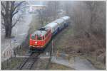 2143.21 der Wiener Lokalbahnen AG, am Karsamstag des Jahres 2013 fr eine Fotofahrt mit BB Pflatsch versehen, aufgenommen in der Wiener Lobau am 30.3.2013.