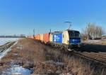 1193 980 mit einem Containerzug am 20.02.2015 bei Plattling.