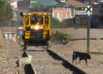 2 Hunde, eine Draisine und eine Diesellok: Am Vortag unserer Fahrt mit dem Zug von Cusco nach Puno bot sich die Gelegenheit, diesen Zug bei der Ausfahrt in Cusco zu fotografieren.