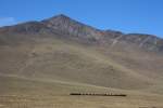 PeruRail Juliaca - Arequipa : EMD G26C No.756 & 752 rollen mit Leerwagen talwrts - 03.09.2011