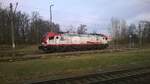 111Ed-013 in Bahnhof Rzepin, 14.03.2026