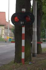 Rechts  steht die Blinkleuchte vor dem Baum . BÜ in Zgorzelec.  01.08.2014
15:26 Uhr.