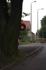 Motiv=Blinklicht verdeckt, ja wirklich, der dicke Baum steht vor dem Blinkicht links in Zgorzelec. 01.08.2104  15:27 Uhr.
