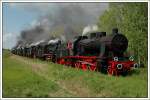Einer der Hhepunkte der Dampflokparade in Wolsztyn am 3.5.2008 – der 16er Lokzug zum Abschluss der Parade, welcher von Ok22-31 angefhrt wurde.
