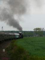 Unterwegs bei Grodzisk ist hier der von Ol49-59 gefhrte Zug von Wolsztyn nach Poznan.