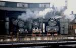 Ty2 820, Tkt48 185 und Ol49 17 im Depot Jarocin im Februar 1989. Diese drei Baureihen waren im zu Ende gehenden Dampflokzeitalter in Polen immer noch auf einigen Nebenstrecken anzutreffen.