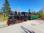 Am 07.04.2026 (Osterferien) waren gleich 2 Dampfz�ge in Pairi Daiza im Einsatz. Hier ist die WKP Ty 3471 mit ihrem Zug zusehen.