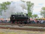 Dampflokparade in Wolsztyn, TKh49 1 auf der Strecke am 02.