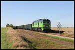 M 62-1556 hat hier die Steigung bei Jawor geschafft und nähert sich mit einem schweren Güterzug dem BÜ bei Niedaszow in Richtung Jaworzyna Slaska.