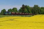 ST44 - 615 mit Gterzug bei Suliszewo (15.05.2009)