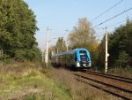 EN76-008 der Schlesicher Bahnen in Tichau(Oberschlesien am 18.10.2012.