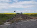 Strecke nach Pasewalk bei Stobno Szczecinskie am 25.Mai 2015.Das rechte Gleis ist das genutzte Gleis während das linke Gleis stillgelegt ist.