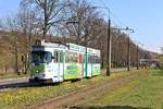 Gorzow Tw 252, Aleja 11 Listopada, 24.04.2012.