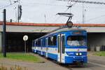 Tw.142 + 542, ex. Wien E1 4719 + c3 1282 am Verkehrsknotenpunkt Rondo Mogielski. (19.08.2021)