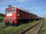 M62-584 und TEM2-198 mit einem Kesselzug am 12.08.2008 in Gra Kalwaria.