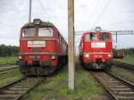 M62-295 und M62-1684 am 21.05.2009 in Świnoujście. Wir mssen die Lok 1812 auf 1684 ersetzen.