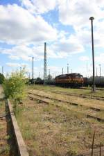 M62 M005 am 14.05.09 im DB Bahnhof Guben