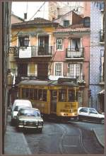 Um die Kurve zu kriegen wird schon mal auf die andere Strassenseite gewechselt.