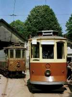 Tw 213 und Arbeits-Tw 77 in Massarelos (11.