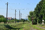 Blick auf den Haltepunkt Magurele Prahova an der Strecke Ploiesti Sud - Maneciu. Fr�her war dies ein Bahnhof mit mehreren Gleisen. 

Magurele 28.07.2026