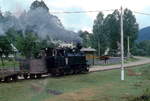 Die Dampflokomotiven der rumänischen Waldbahnen wurden mit Holz befeuert.
