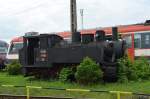 Rumnien Schmalspur Dampflok CFR 764-106 im Eisenbahnmuseum Sibiu/Hermannstadt 10.05.2015