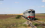 60 0971-1 und 60 1325-9 mit einem Güterzug bei Cogealac 30.8.17