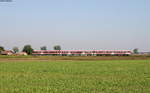 76 2403-7 als R 15188 (Titan Sud h.m. - Oltenita) bei Cernica 1.9.17