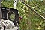 Einzelne Bäume kommen der Lok auf der Waldbahn bei Comandau ziemlich nahe.
