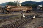 Der beladene Stammholzwagen in Moldovita findet anscheinend nicht nur das Interesse des Fotografen (August 1992)