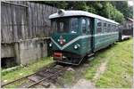 Rossia 1 ist ein russischer Triebwagen der Wassertalbahn. Ein zweiter Triebwagen ist bei Georg Hocevar in Criscior in Aufarbeitung. (11.06.2017)