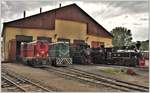 87-0045-5 und  87-0033-8 neben Dampfloks der BR764 vor dem Depot in Viseu de Sus. (11.06.2017)