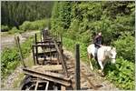 Pferde dienen im unwegsamen Wassertal neben der Bahn immer noch als Fortbewegungsmittel.