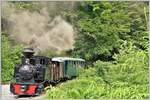 Schon fast Urwaldähnlich mutet der Wald an beim Gleisdreieck in Novicior als 764.211  Maruta  aus dem Grün auftaucht.