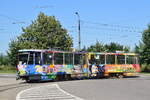 Triebwagen 099 tr�gt eine Lackierung f�r Nichita Stanescu.