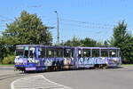 Die Theatertram. Triebwagen 103 tr�gt eine Lackierung welche an Ion Luca Caragiale erinnert. Er gilt als der bedeutenste Dramatiker und Kom�dienschreiber in Rum�nien. Hier biegt der Triebwagen in die Wendeschleife Spitalul Judetean ein.

Ploiesti 30.07.2026