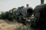 Bis Ende der 1980er Jahre setzte die rumänische Staatsbahn noch Normalspurdampflokomotiven verschiedener Baureihen in untergeordneten Diensten ein. In Bacau waren zahlreiche ausgemusterte Maschinen im August 1992 abgestellt. Dieses Torso einer Lok der Baureihe 230 (entweder ein P 8-Nachbau oder eine Reparationsleistung) beginnt sich allmählich in ein Biotop zu verwandeln.