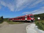 Dieseltriebwagen BR 78-3233-0 der privaten Bahngesellschaft Transferoviar Calatori (RO-TFC) an einem unbeschrankten Bahnübergang mit entsprechender Beschilderung in Poiana-Varbilau/Kr.Prahova.
Bei den Fahrzeugen der BR 78 handelt es sich um ehem. DH1 und DH2 Triebwagen der Niederländischen Staatsbahn.
Besser bekannt als  Wadloper -Wattläufer.
Sie wurden überarbeitet und im neuen Farbkleid bei der Tranferoviar Calatori (Ro-TFC) eingesetzt.
Die ausbetonierten Straßengraben wurden aus Mitteln der EU gefördert.
Aufnahme vom 15.09.2013