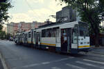 Triebwagen 039 steht an der Haltestelle Bulevardul Ferdinand und ist auf der Linie 14 auf der Soseaua Pantelimon unterwegs.