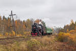 Die Dampflok L-2198 mit Nahverkehrszug Bologoje – Ostaschkow zwischen Bahnhöfe Firowo und Ostaschkow kurz vor der Haltestelle Chernyj Dor am 10. Oktober 2020. (Foto 2.)